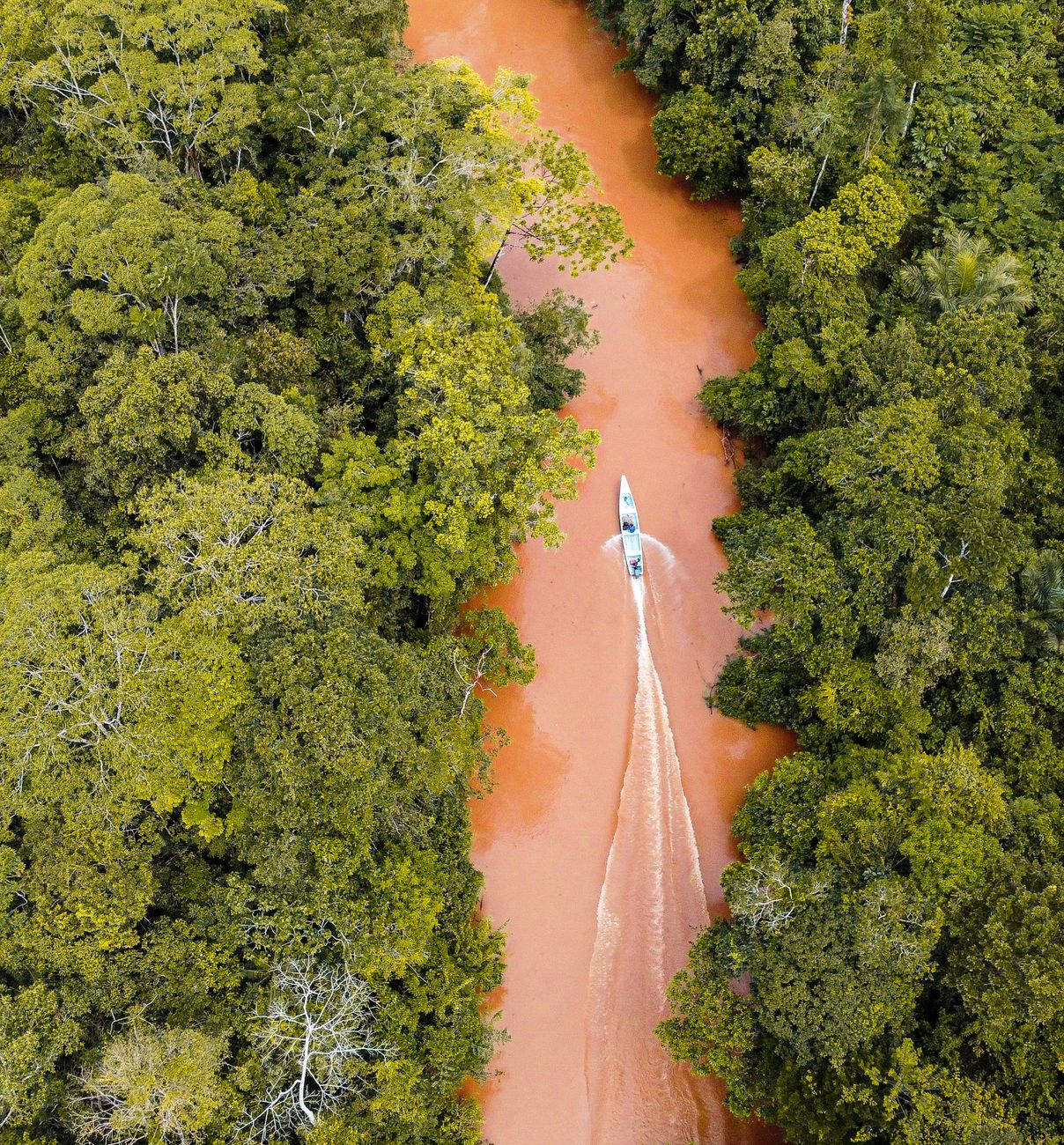 Expedição Floresta Amazônica